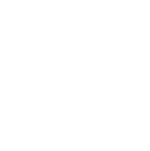 Visottica Group Visottica Group